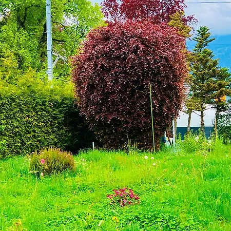 度假居 View Relax *